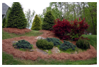 NC Landscape Creations